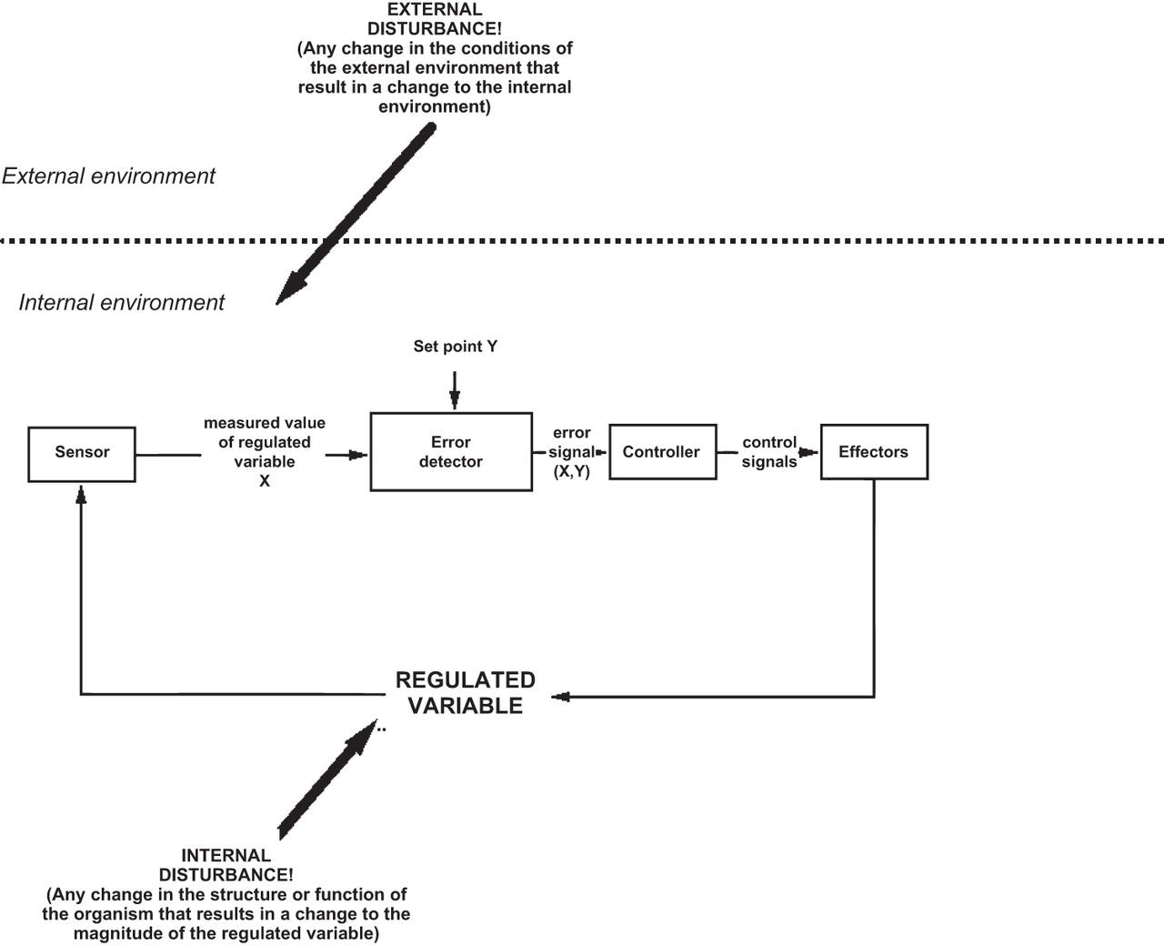 Feedback systems help maintain homeostasis