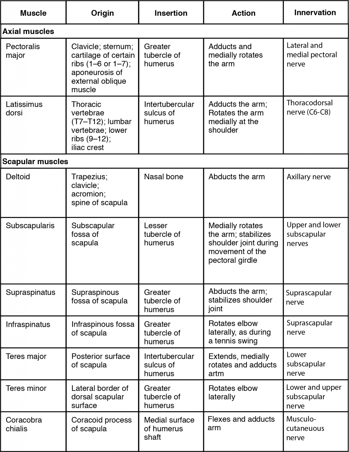 Muscles That Move the Humerus