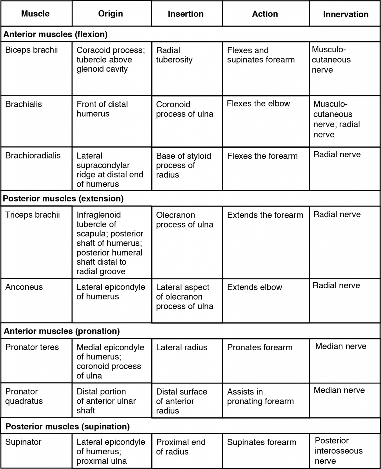 Muscles That Move the Forearm