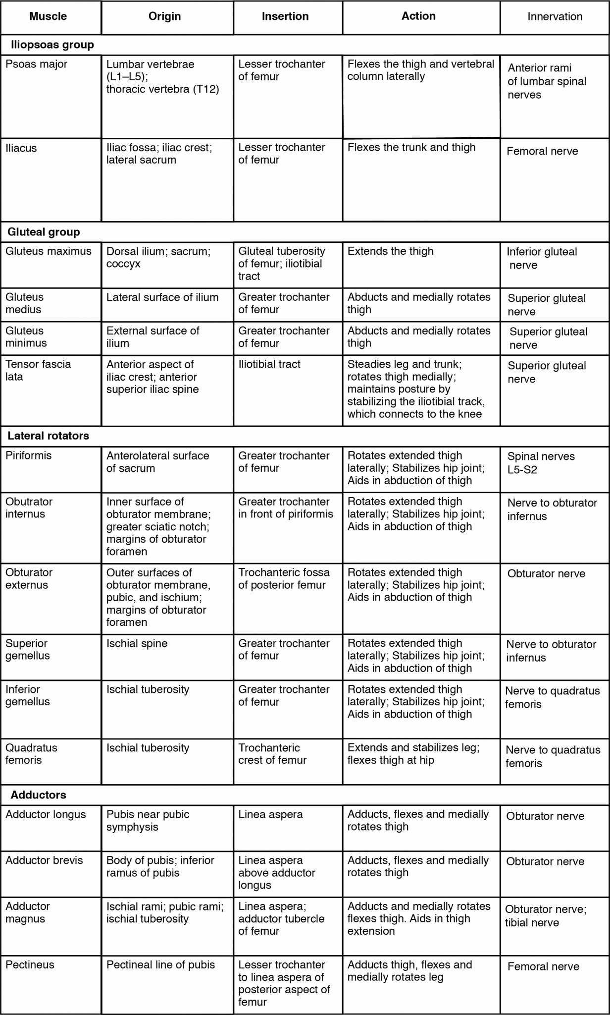 Gluteal Region Muscles That Move the Femur