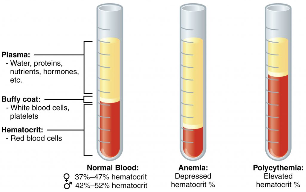 Composition of Blood
