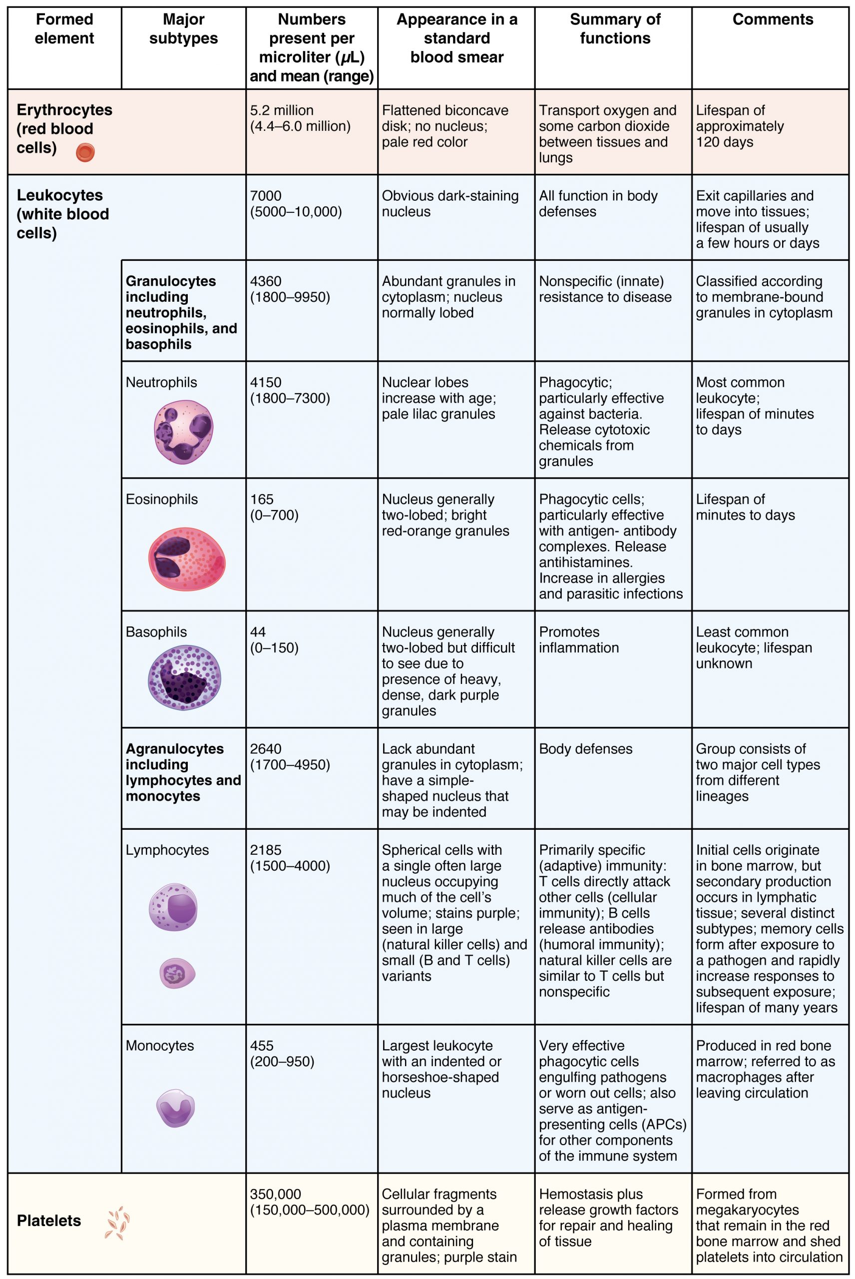 Summary of Formed Elements in Blood