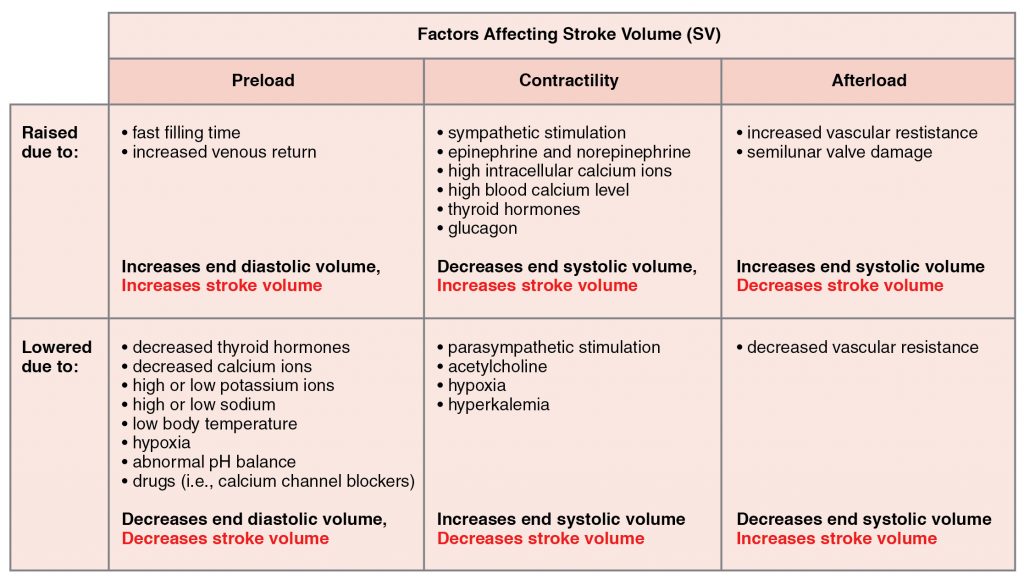 Major Factors Influencing Stroke Volume
