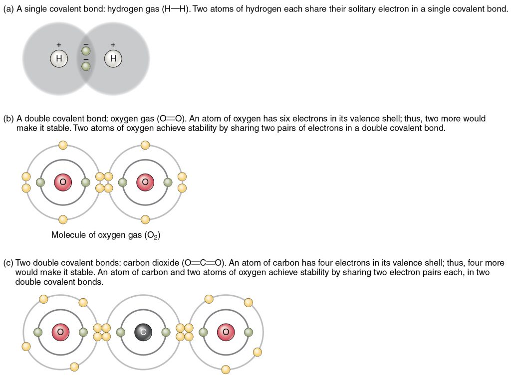 Covalent Bonding