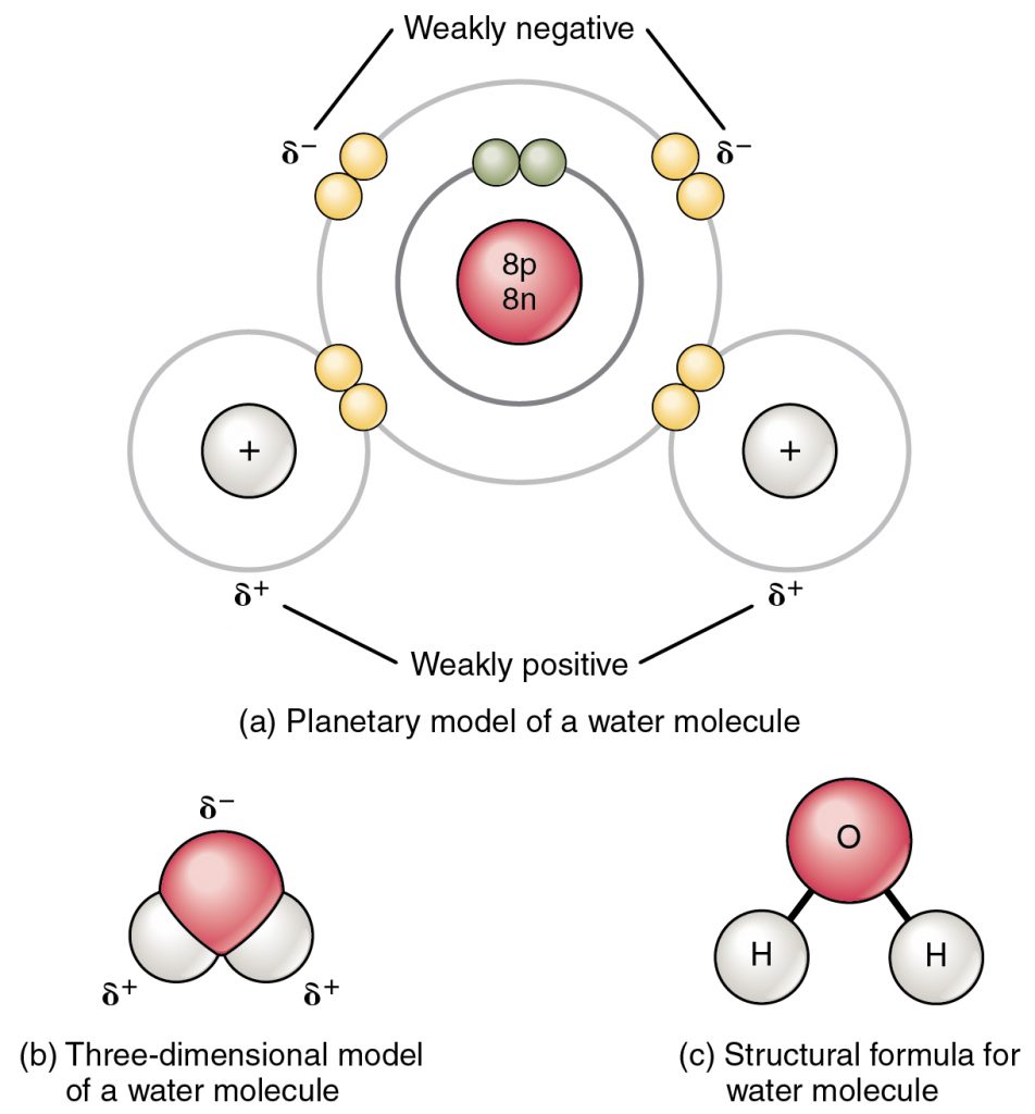 Ionic Bonding