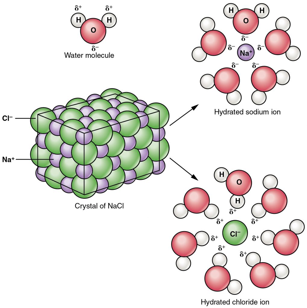 Dissociation of Sodium Chloride in Water