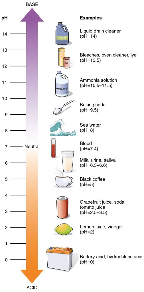 The pH Scale