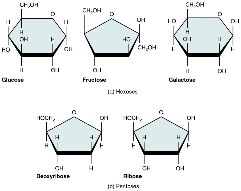 Acids and Bases