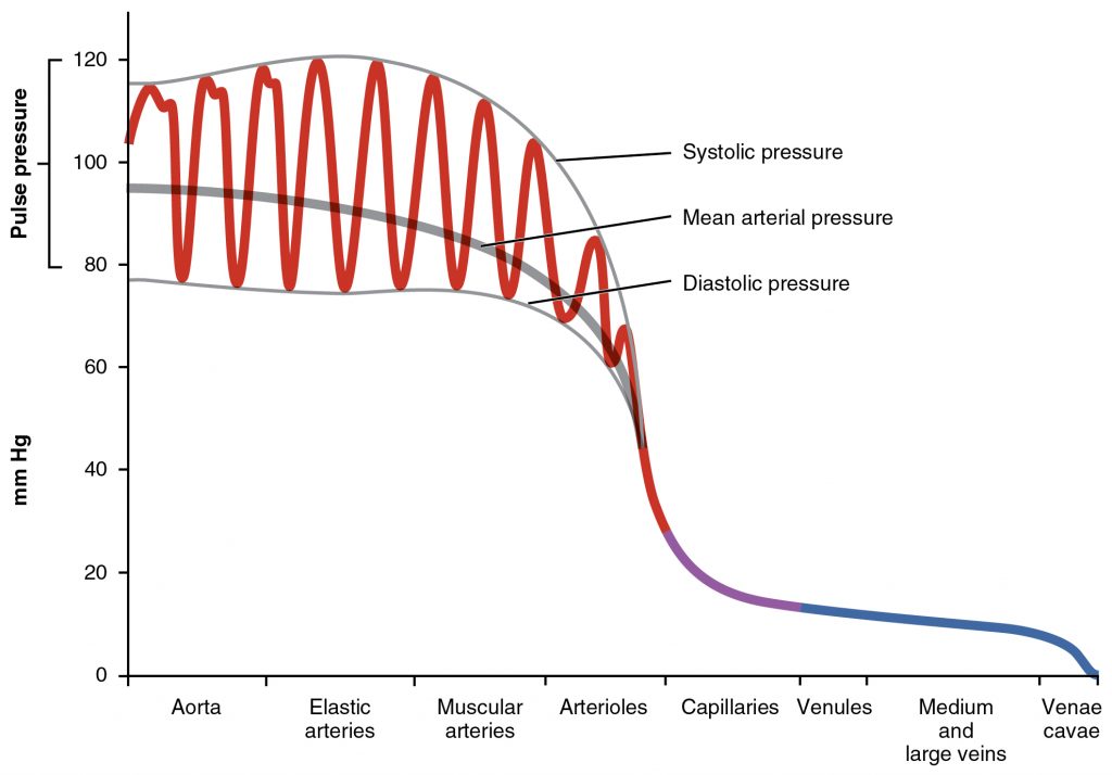 Systemic Blood Pressure