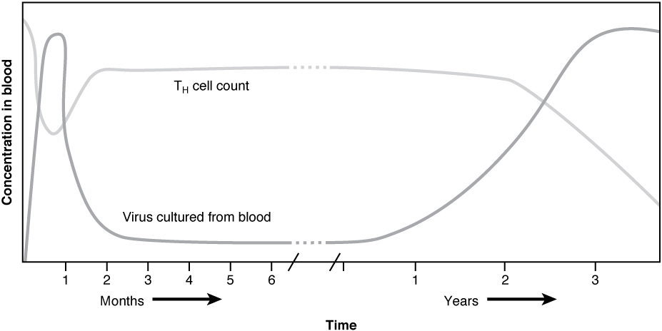 HIV Disease Progression
