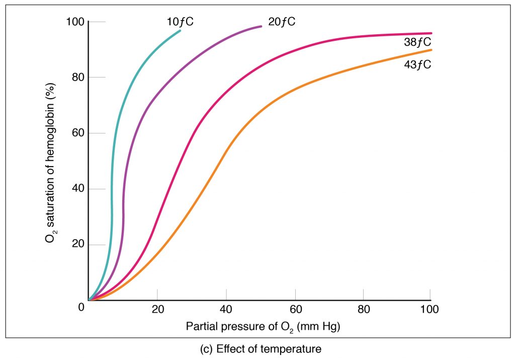 Oxygen-Hemoglobin Dissociation and Effects of pH and Temperature
