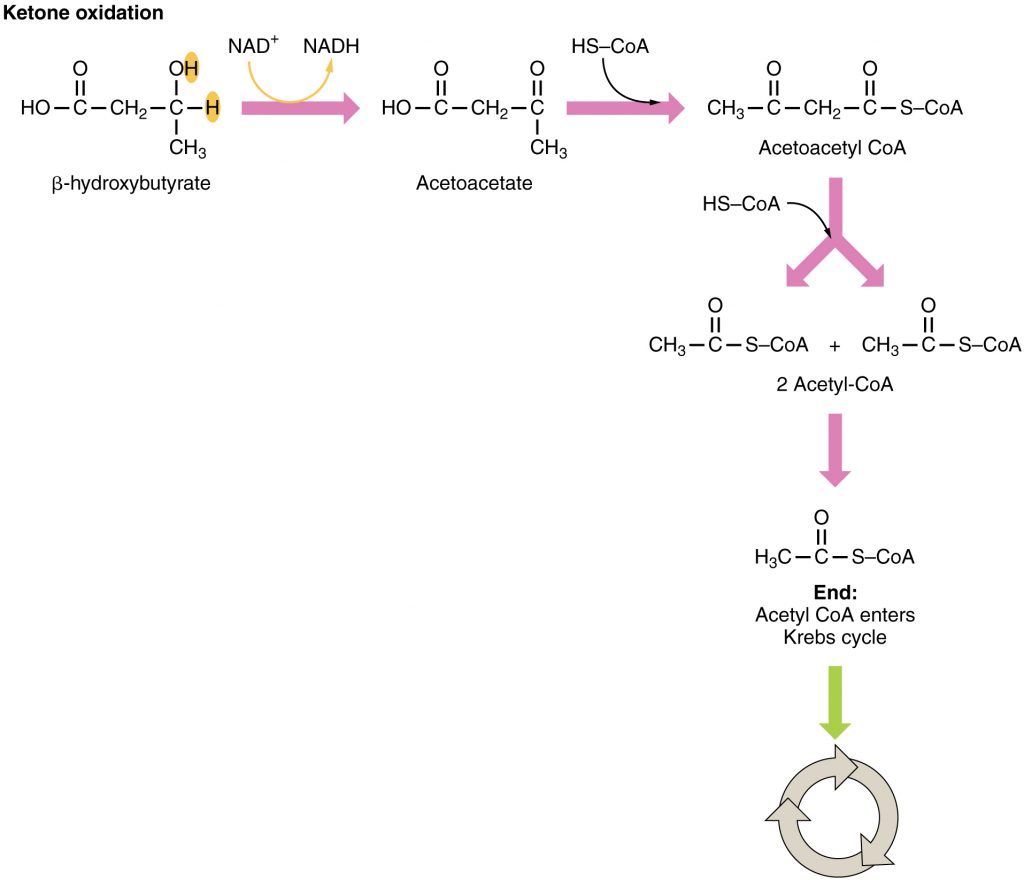 Ketone Oxidation