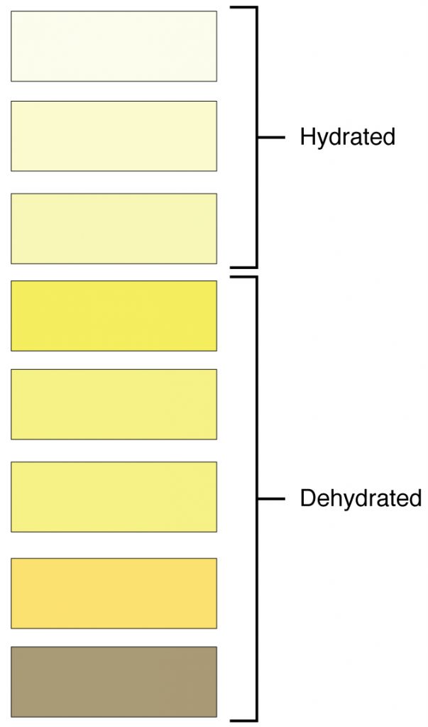 Urine Color can change due to degree of hydration.