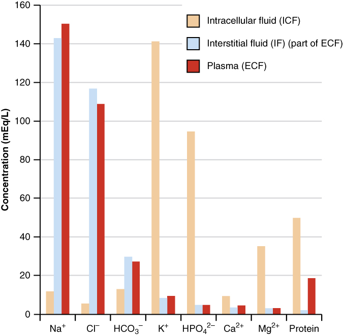The Concentrations of Different Elements in Key Bodily Fluids