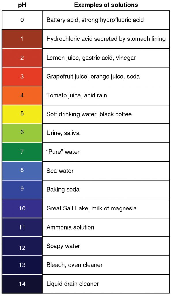 The pH Scale