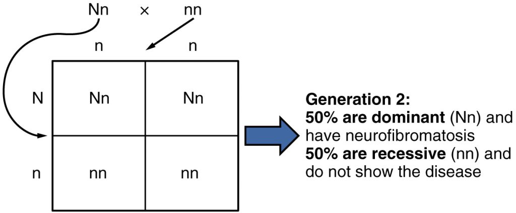 Autosomal Dominant Inheritance