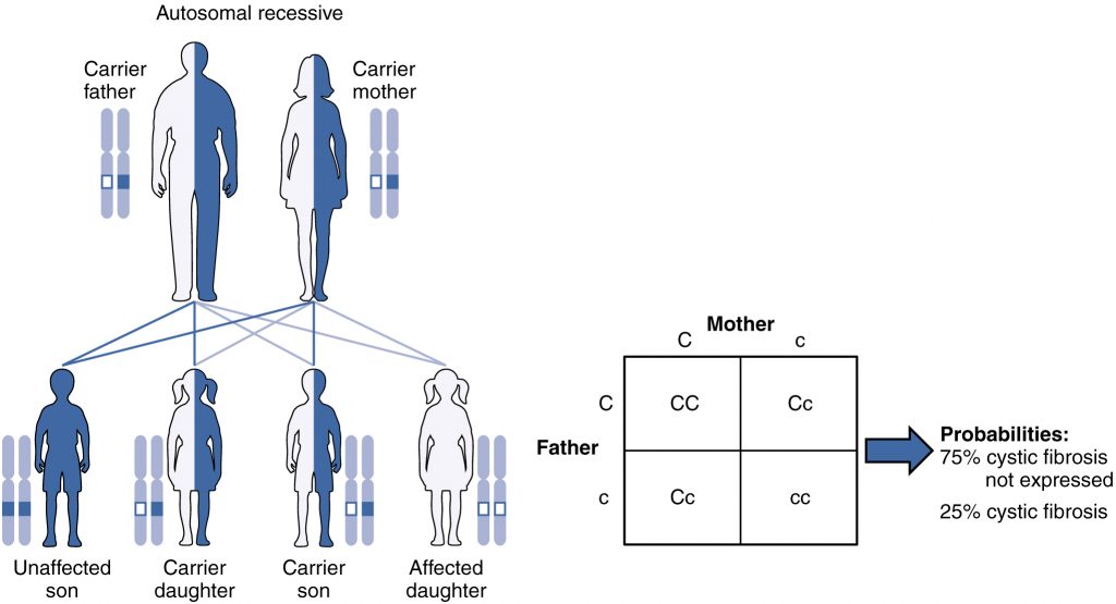 Autosomal Recessive Inheritance