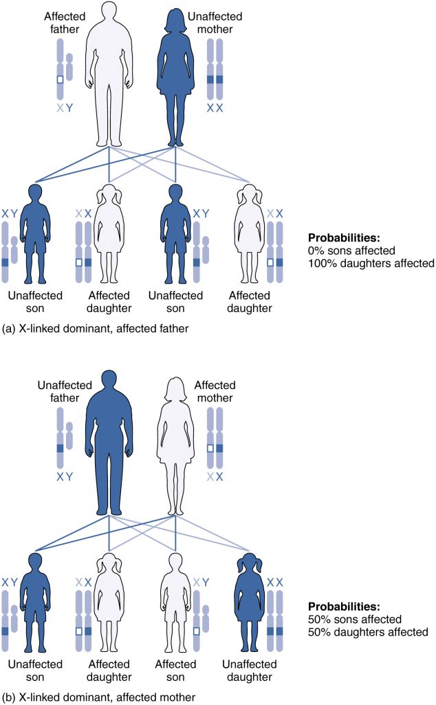 X-Linked Patterns of Inheritance